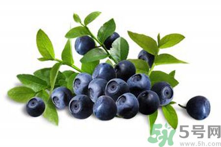 藍(lán)莓是不是發(fā)物？藍(lán)莓是發(fā)物嗎？