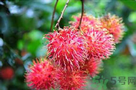 吃紅毛丹可以喝牛奶嗎？紅毛丹和牛奶可以一起吃嗎？