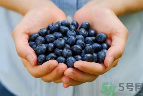 藍(lán)莓和什么榨汁好喝?藍(lán)莓榨汁搭配 藍(lán)莓和什么榨汁好喝?藍(lán)莓榨汁搭配