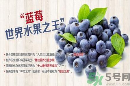 衣服上面染上了藍(lán)莓汁怎么辦？藍(lán)莓漬怎么清洗？