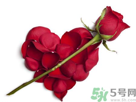 父親節(jié)送什么花好？父親節(jié)送什么花？
