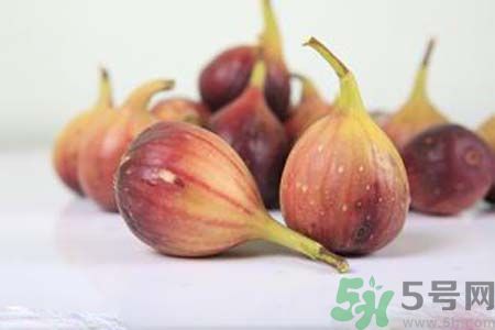 胃不好可以吃無花果嗎？胃不好吃無花果好嗎？