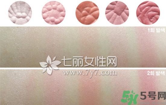 canmake花瓣腮紅色號對比圖？canmake五色花瓣腮紅試色