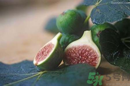 無花果沒熟可以吃嗎？吃了沒熟的無花果會怎樣？