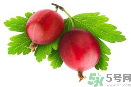 吃無花果可以美容嗎？無花果怎樣吃可以美容？
