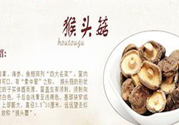  哺乳期可以吃猴頭菇嗎？產(chǎn)婦可以吃猴頭菇嗎？
