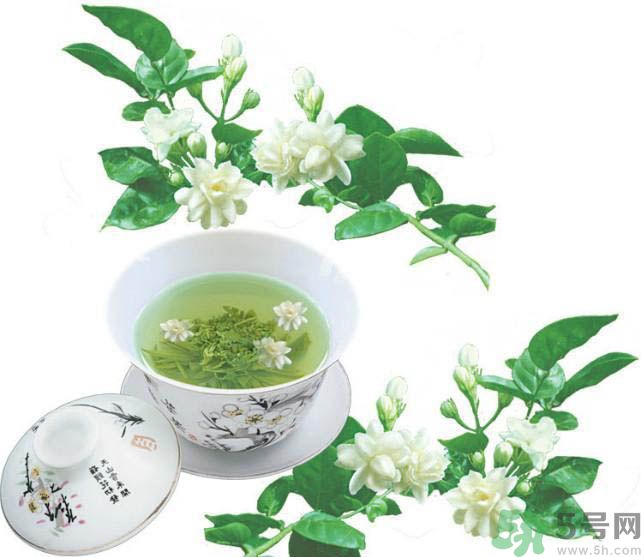 喝茉莉花茶會過敏嗎？喝茉莉花茶過敏了怎么辦？