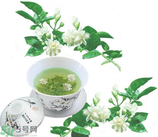 茉莉花茶可以減肥嗎？怎樣喝茉莉花茶可以減肥？