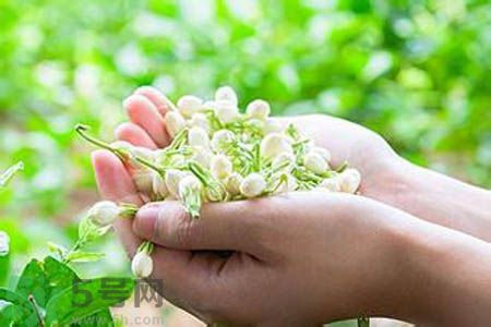 茉莉花茶可以和玫瑰花茶一起喝嗎？茉莉花茶和玫瑰花茶一起泡著喝好嗎？