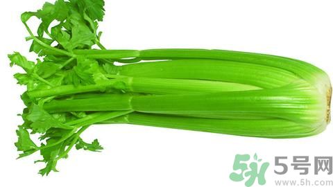 西瓜和芹菜能一起吃嗎?西瓜和芹菜一起吃會(huì)怎么樣 西瓜和芹菜能一起吃嗎?西瓜和芹菜一起吃會(huì)怎么樣