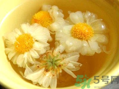女生可以喝什么茶排毒養(yǎng)顏？女生喝什么茶可以美容？