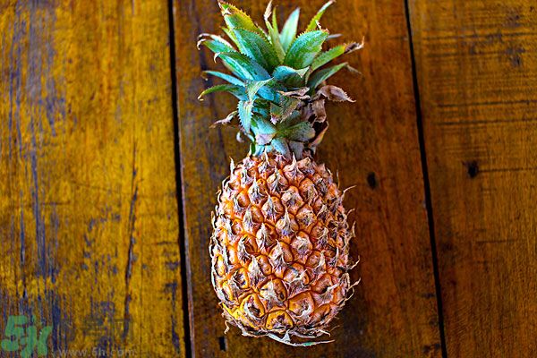 菠蘿能和香蕉一起吃嗎?菠蘿和香蕉一起吃好嗎? 菠蘿能和香蕉一起吃嗎?菠蘿和香蕉一起吃好嗎?