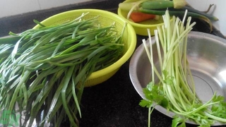 芹菜和韭菜能一起吃嗎?芹菜和韭菜可以一塊包餃子嗎 芹菜和韭菜能一起吃嗎?芹菜和韭菜可以一塊包餃子嗎