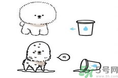 虛胖是什么原因？虛胖怎么辦？