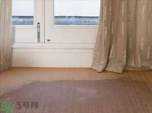 房間潮濕怎么辦？房間潮濕如何解決？