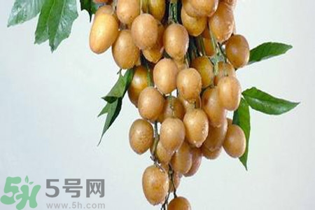 黃皮果是不是發(fā)物？黃皮果是發(fā)物嗎？