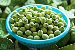 蓮子芯泡茶有什么功效？蓮子心的功效與作用