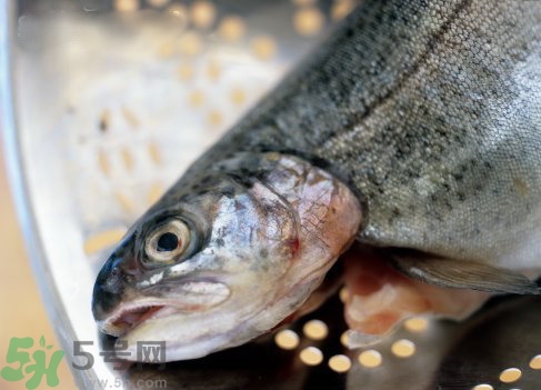 隔夜的魚(yú)能吃嗎?隔夜的魚(yú)可以吃嗎? 隔夜的魚(yú)能吃嗎?隔夜的魚(yú)可以吃嗎?