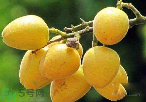 黃皮果的皮可以吃嗎？黃皮果的皮有什么作用