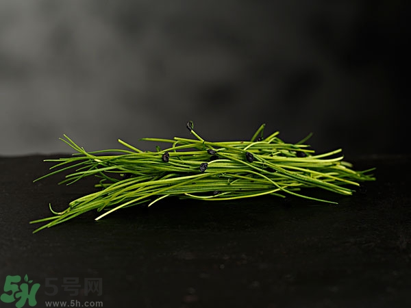 吃韭菜會燒心嗎？吃韭菜燒心怎么辦？