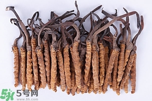 冬蟲(chóng)夏草是怎么形成的？冬蟲(chóng)夏草是蟲(chóng)子嗎？