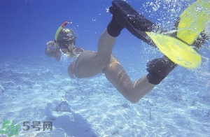 浮潛是什么意思？深潛和浮潛有什么區(qū)別？?