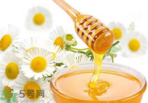 什么蜂蜜才是好蜂蜜？好壞蜂蜜的鑒別