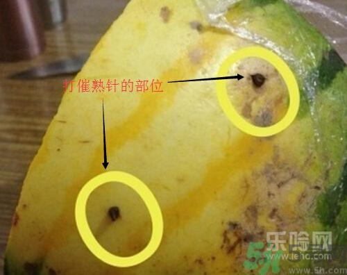 如何辨別催熟的西瓜？催熟的西瓜是什么樣的？