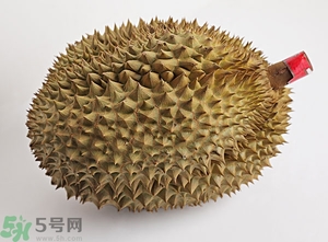 榴蓮沒開口可以吃嗎？榴蓮沒裂開能吃嗎？