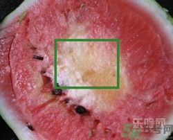 如何辨別催熟的西瓜？催熟的西瓜是什么樣的？