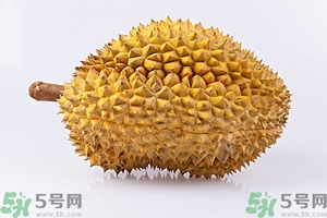 榴蓮能放冰箱嗎？榴蓮放在冰箱能保存幾天？