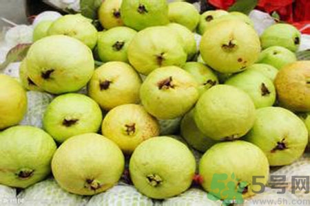 番石榴是熱性還是涼性？番石榴是涼性的嗎？