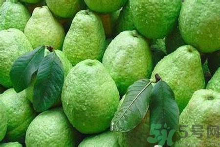 吃番石榴可以減肥嗎？怎么吃番石榴可以減肥？