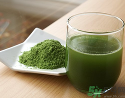 喝麥苗汁有什么好處?麥苗汁的功效與作用 喝麥苗汁有什么好處?麥苗汁的功效與作用