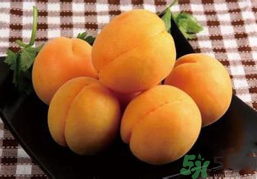 杏子皮可以吃嗎？吃杏子要剝皮嗎？