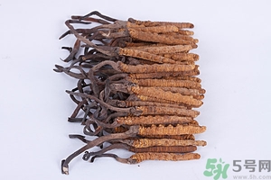 冬蟲夏草真假怎么鑒別？冬蟲夏草怎么吃效果最好？