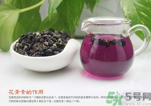 黑枸杞泡水是什么顏色？黑枸杞泡水是紫色的嗎？