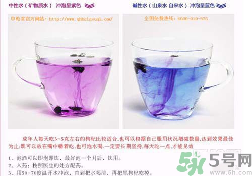 黑枸杞怎么辨別真假？怎么挑選黑枸杞？