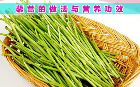 擇藜蒿手臟怎么洗？藜蒿和水芹菜的區(qū)別