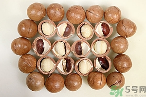 夏威夷果產(chǎn)地在哪里？夏威夷果為什么有奶香？