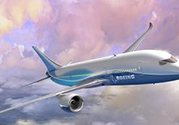電蚊香片可以帶上飛機嗎？電蚊香液可以帶上飛機嗎？