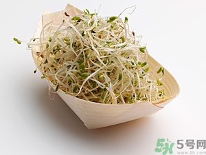 豆芽可以生吃嗎？豆芽炒粉條的家常做法