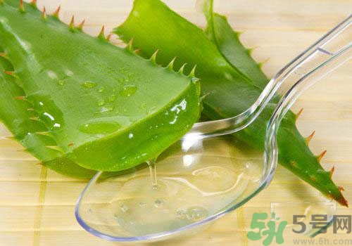 蘆薈膠要洗臉嗎？用完蘆薈膠要不要洗臉？