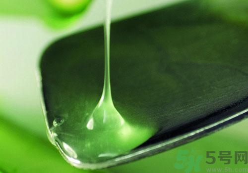 蘆薈膠要洗臉嗎？用完蘆薈膠要不要洗臉？