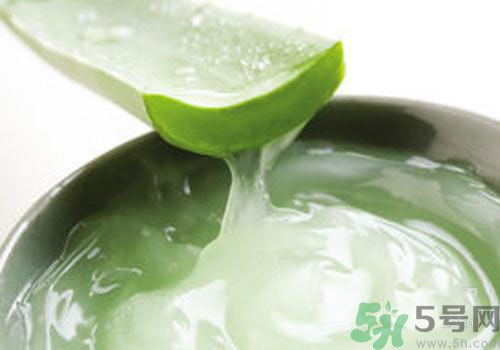 孕婦可以用蘆薈膠嗎？蘆薈膠孕婦可以用嗎？