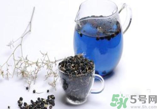 黑枸杞能用開水泡嗎？黑枸杞的沖泡方法