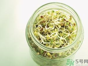 吃豆芽會胖嗎？豆芽會不會讓人長胖？