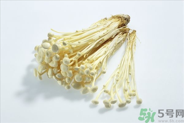 致癌金針菇怎么鑒別？如何選購金針菇？