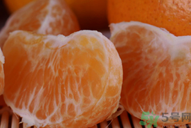 橘子可以解酒嗎?橘子能解酒嗎? 橘子可以解酒嗎?橘子能解酒嗎?