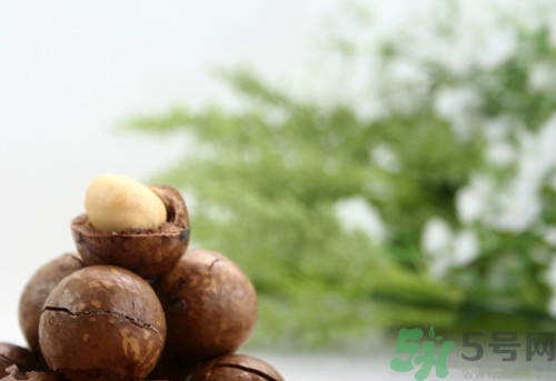 夏威夷果可以生吃嗎?生吃夏威夷果會(huì)怎么樣